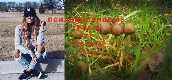 не бодяженный Лагань