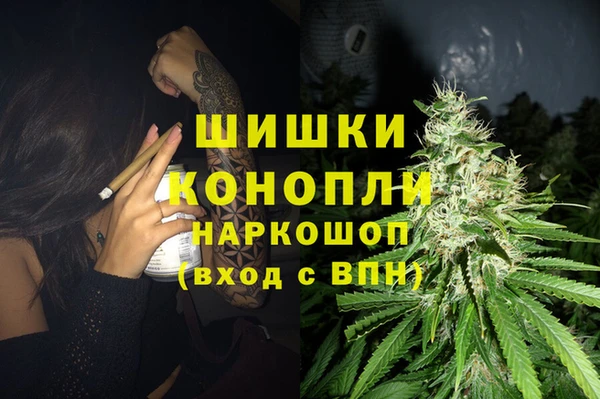дживик Ладушкин