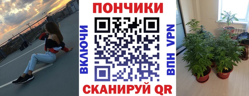 Бошки марихуана индика  Эртиль 